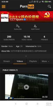 91hub中文,探索网络世界的无限可能